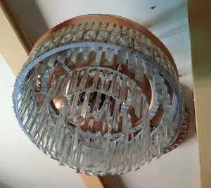 Luxury Ceiling Light With Fan