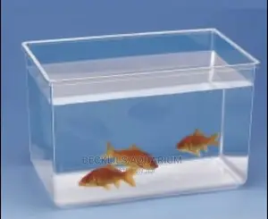 Small Aquariums With Fish