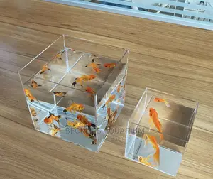 Small Aquariums With Fish