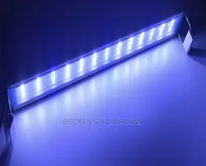 Aquarium Light