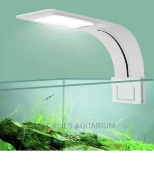 Aquarium Light and More