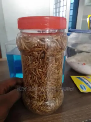 Aquarium Fish Dried Worms