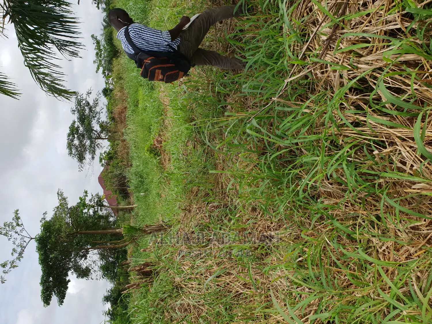 Two Plots of Land at Santasi Darko