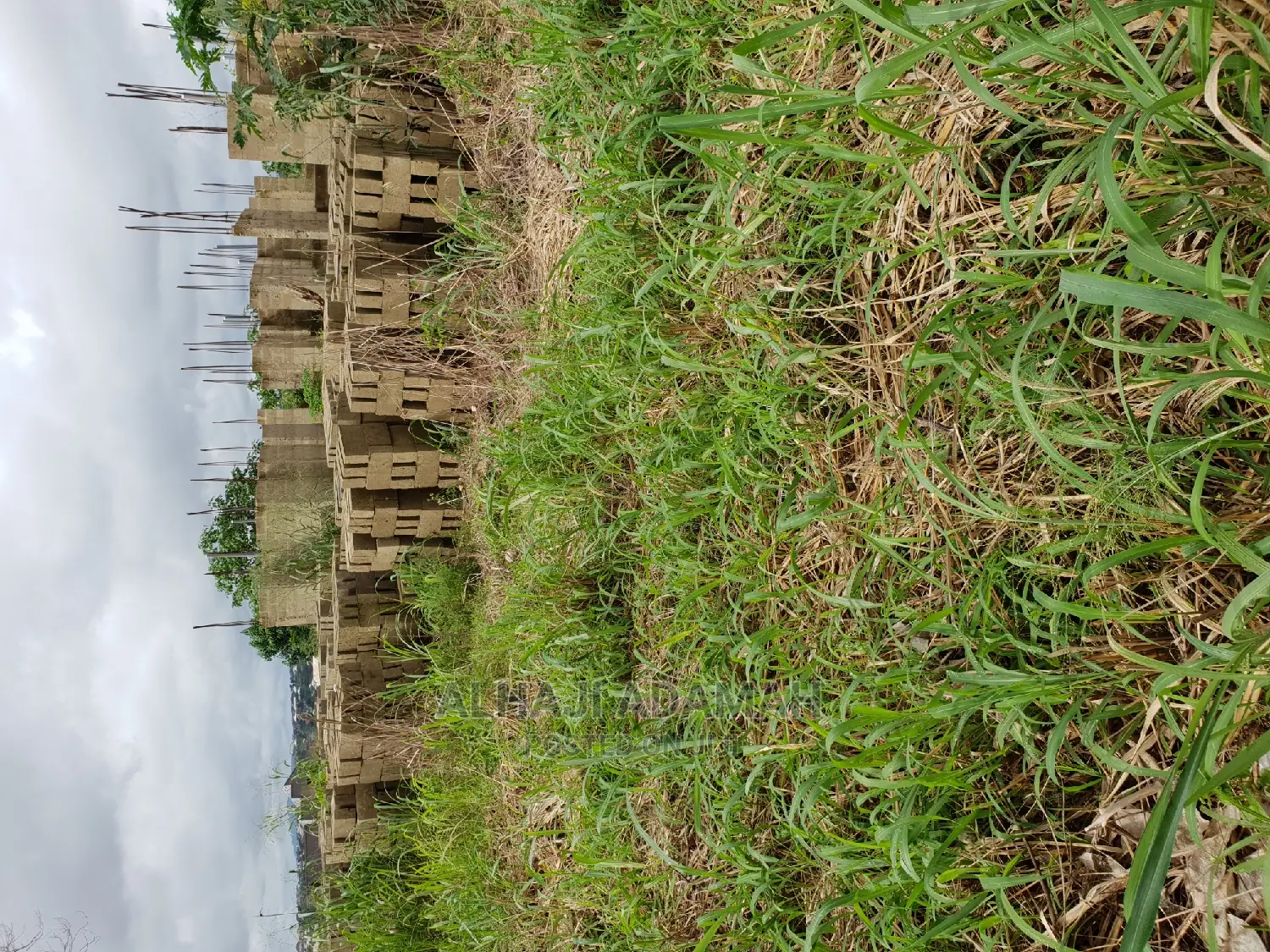 Two Plots of Land at Santasi Darko