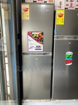Fridge at Roch 290rh Bottom Freezer Refrigerator