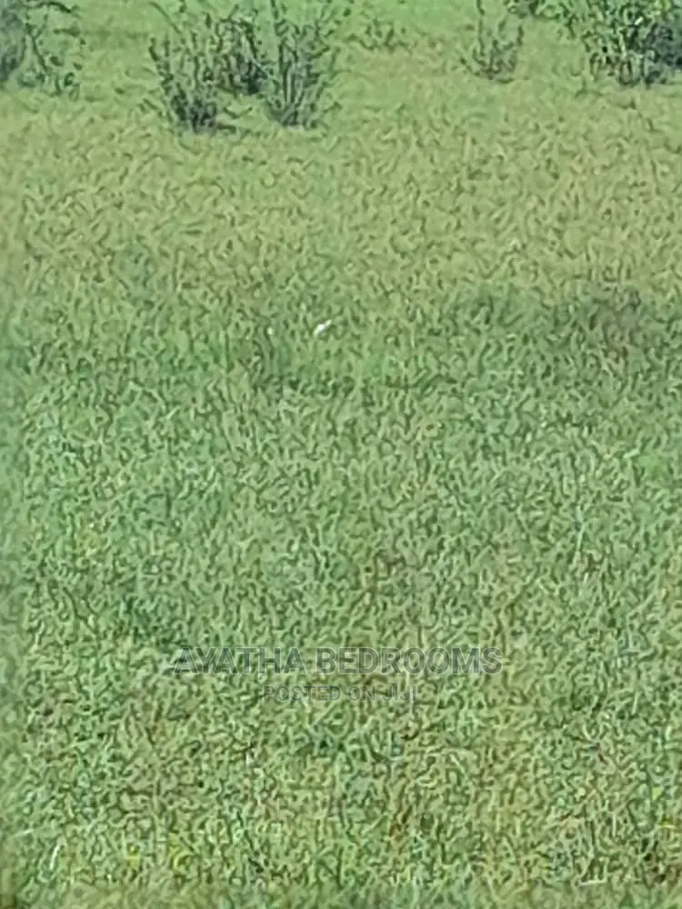 3plot of Land for Sale at Akuse