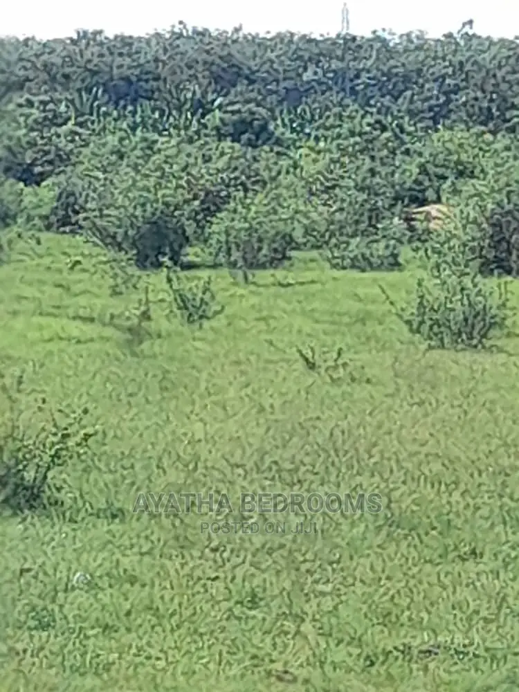 3plot of Land for Sale at Akuse