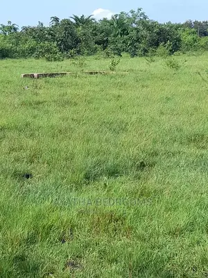 3plot of Land for Sale at Akuse