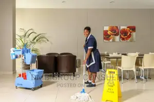 Professional Cleaners 2go