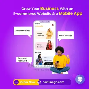 Professional Website Development