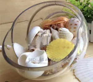 Aquarium Shells Decor