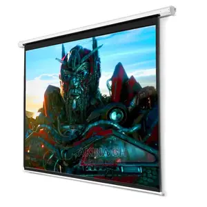Manual Projector Screen 240X 240cm