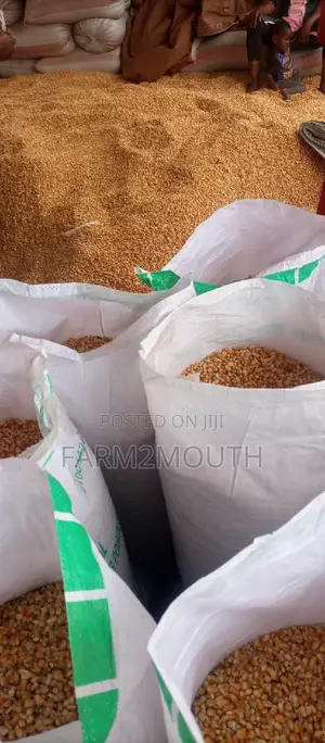 Dry Yellow and White Maize Both 100kg and 150kg