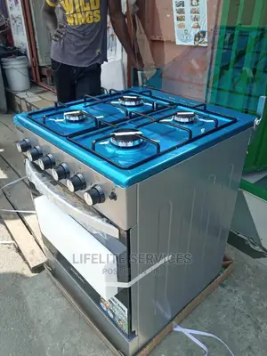 Stainless Gas Cooker With Grill(60×60)