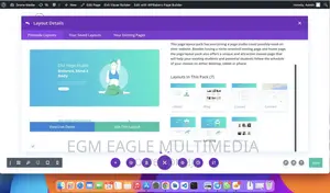 Premium Wordpress Theme and Plugins