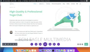 Premium Wordpress Theme and Plugins