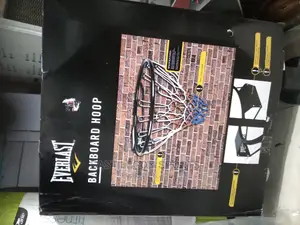 Everlast Wall Mounted Basketball Hoop