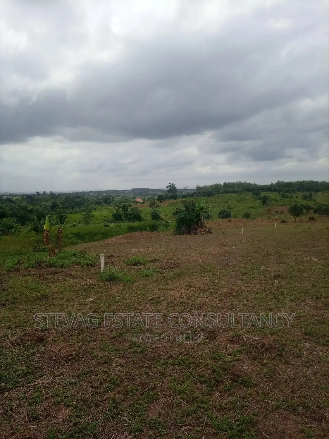 Alpha Estate License Land at Winneba Nsuakyiri Beach for Sale