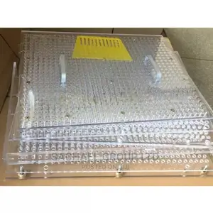 Capsules Machine 800 Holes