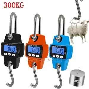 Crane Scale 300kg