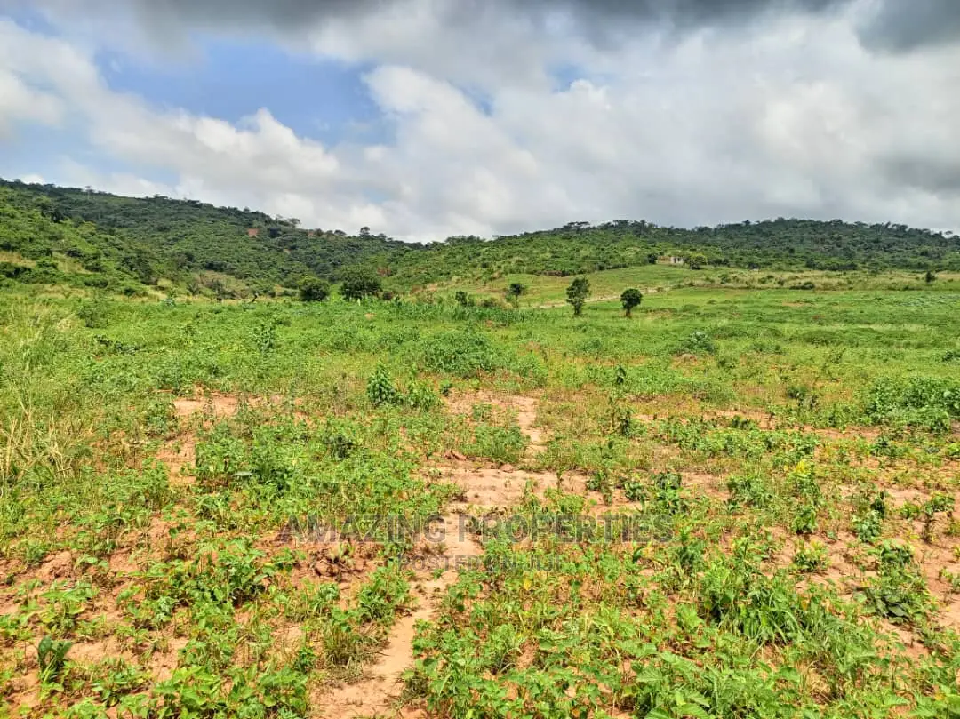 Ashiyie Opposite Regimanuel Estate 4,000 Acres (Titled)