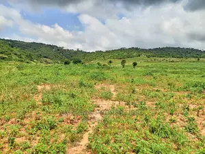 Ashiyie Opposite Regimanuel Estate 4,000 Acres (Titled)