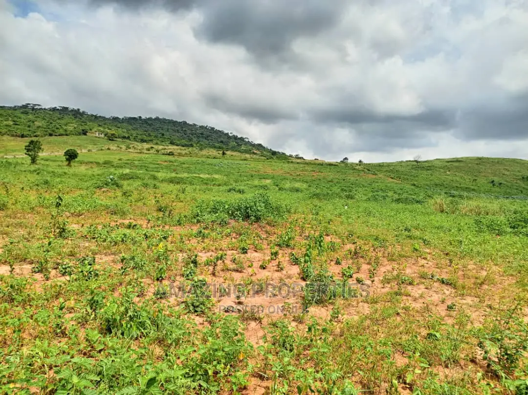 Ashiyie Opposite Regimanuel Estate 4,000 Acres (Titled)