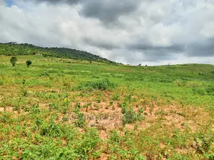 Ashiyie Opposite Regimanuel Estate 4,000 Acres (Titled)