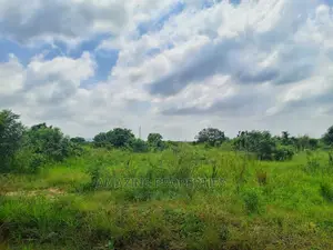 For Sale 200-500 Acres of Land at Agormeda Dodowa-Ayikuma
