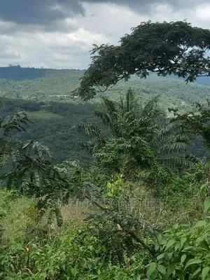 For Sale 3500 Acres Land on Accra to Kumasi Teacher Mantey