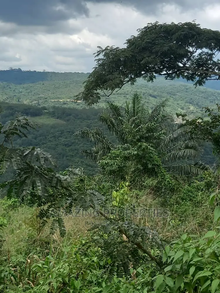 For Sale 3500 Acres Land on Accra to Kumasi Teacher Mantey