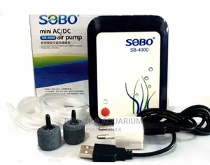 Rechargeable Ac/Dc Airpump