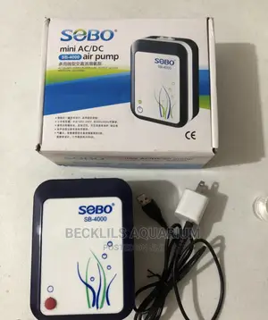 Rechargeable Ac/Dc Airpump