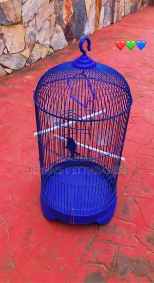 American Parrot Cages