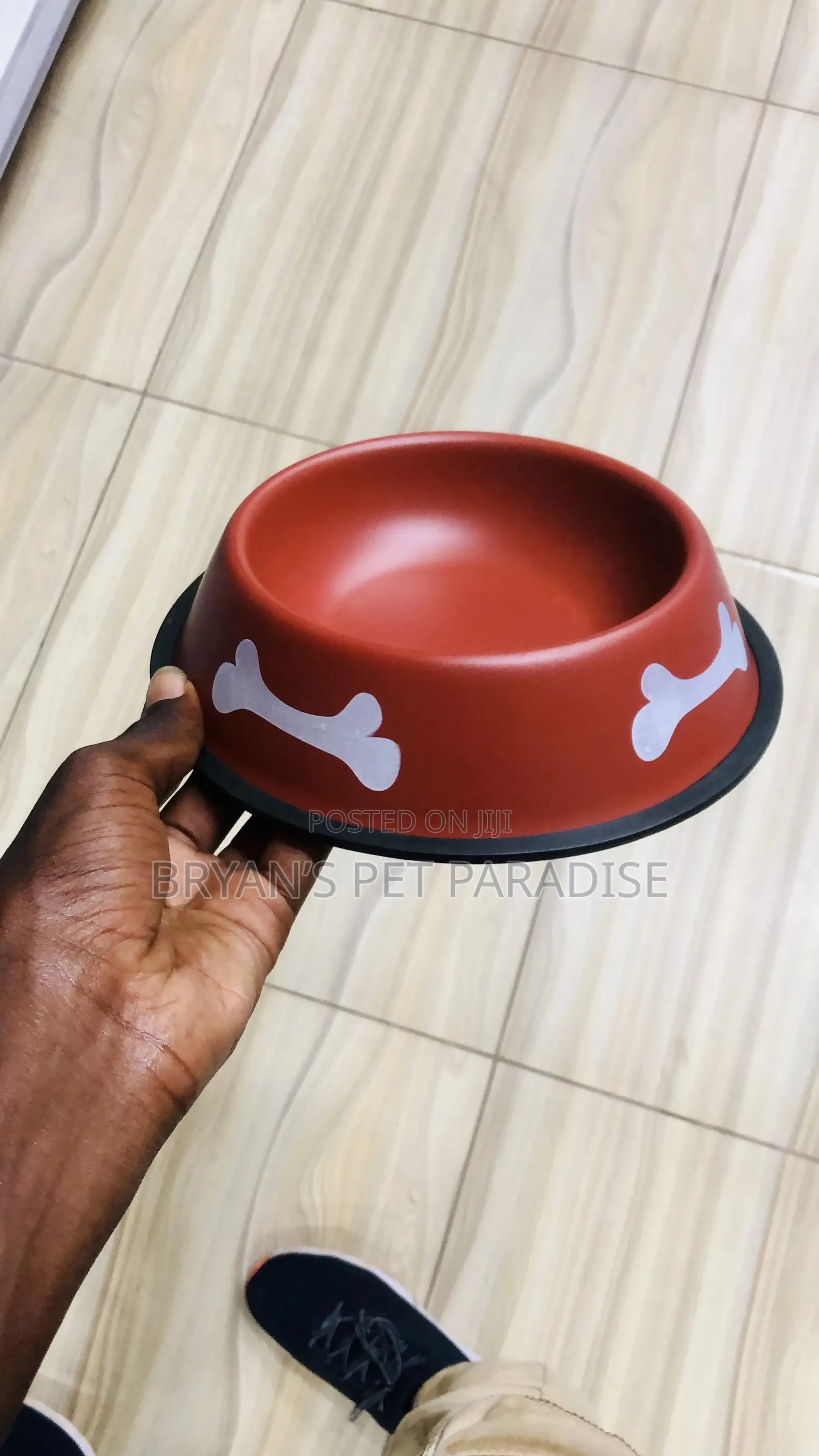 Medium Size Pet Bowls
