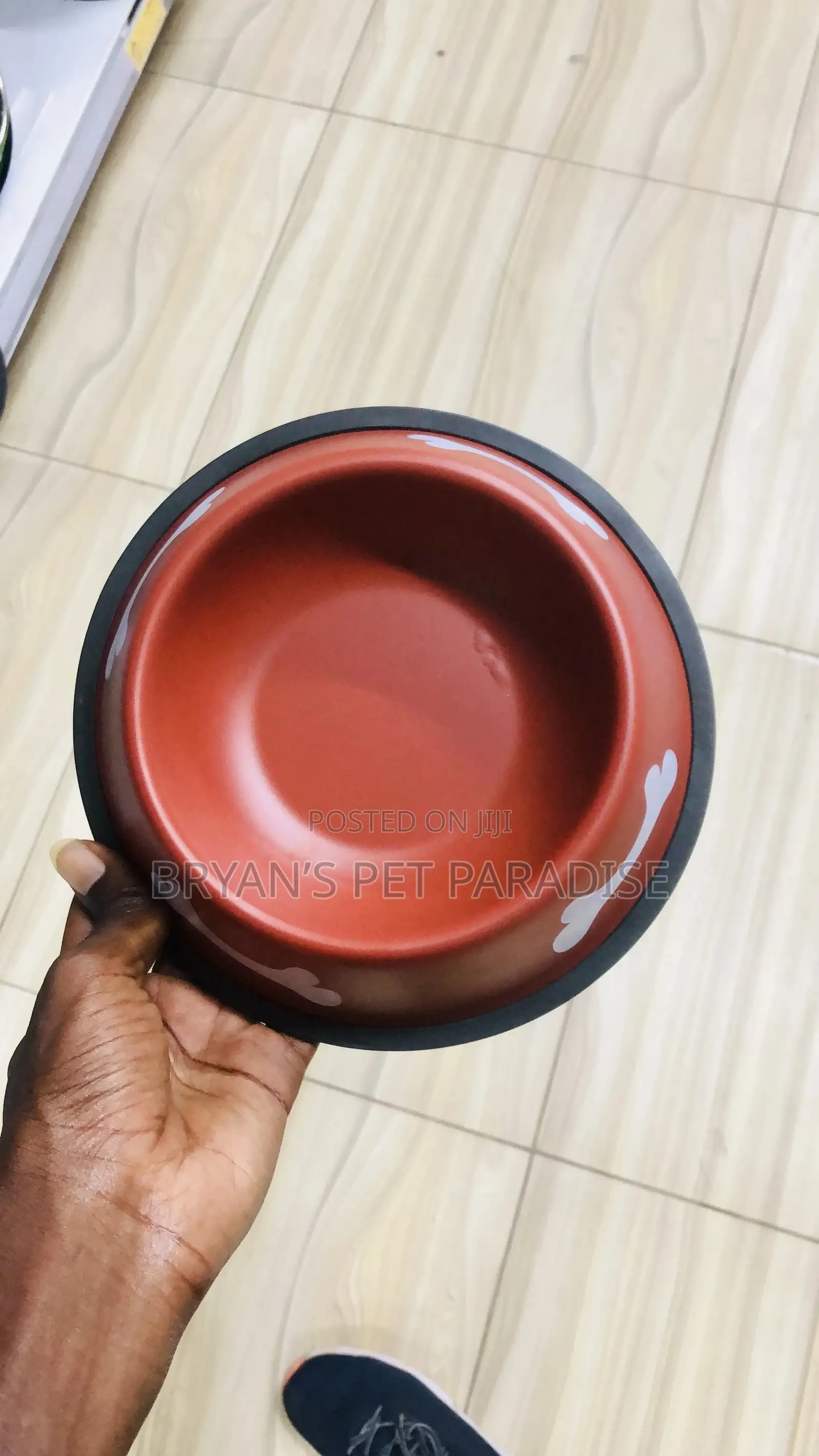 Medium Size Pet Bowls