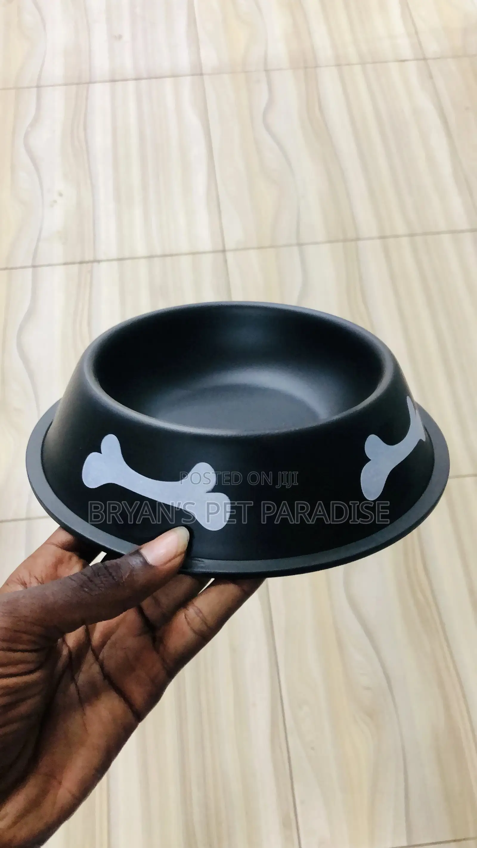 Medium Size Pet Bowls