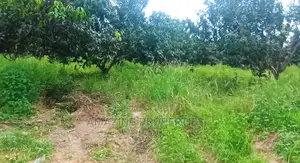 6 Plots of Land at East Legon Hills (Cancer Hosp)
