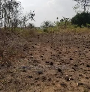 76 Acres of Land at Danfa