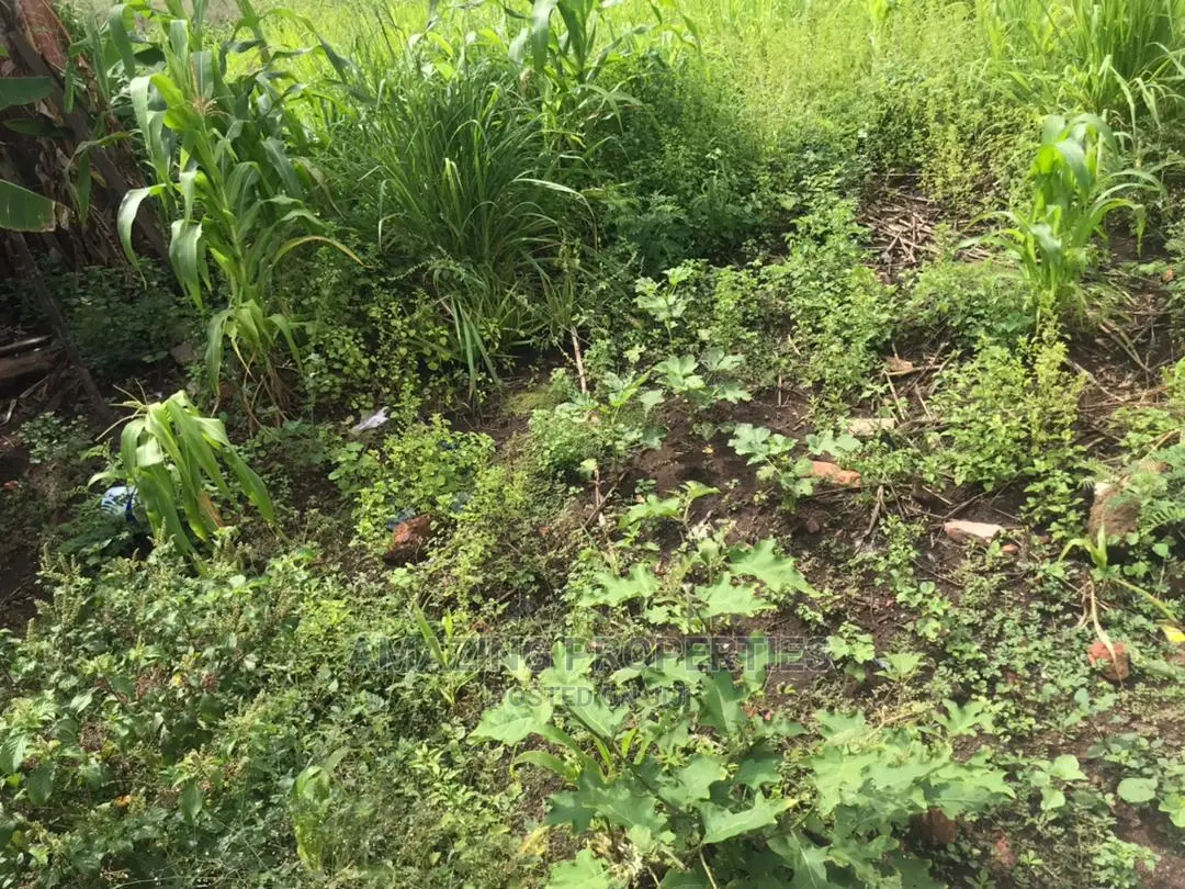 One Acre of Land at Tse Addo Round