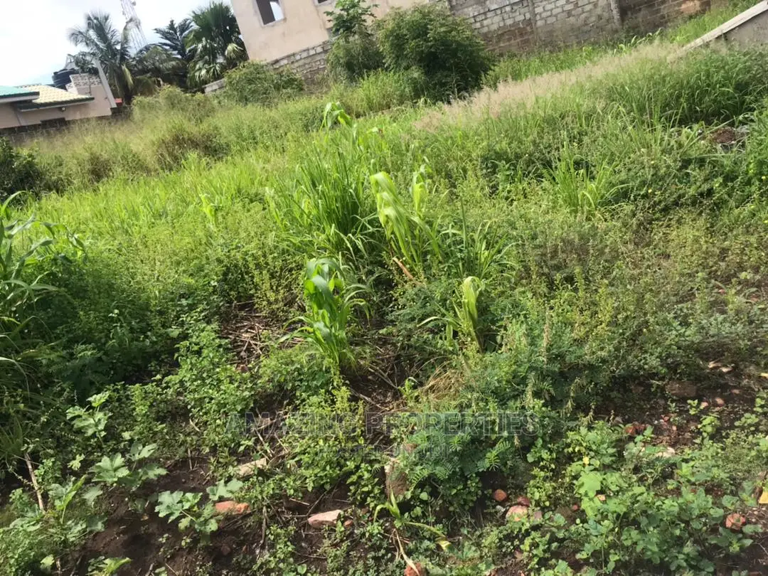 One Acre of Land at Tse Addo Round