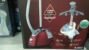 Garment Steamer