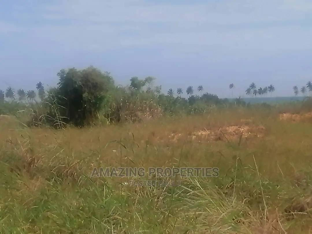 31 Acres. 
Botwe Zoom Lion Main Road Price $45,000 Per Plot