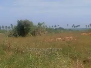 31 Acres. 
Botwe Zoom Lion Main Road Price $45,000 Per Plot