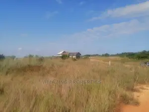 31 Acres. 
Botwe Zoom Lion Main Road Price $45,000 Per Plot