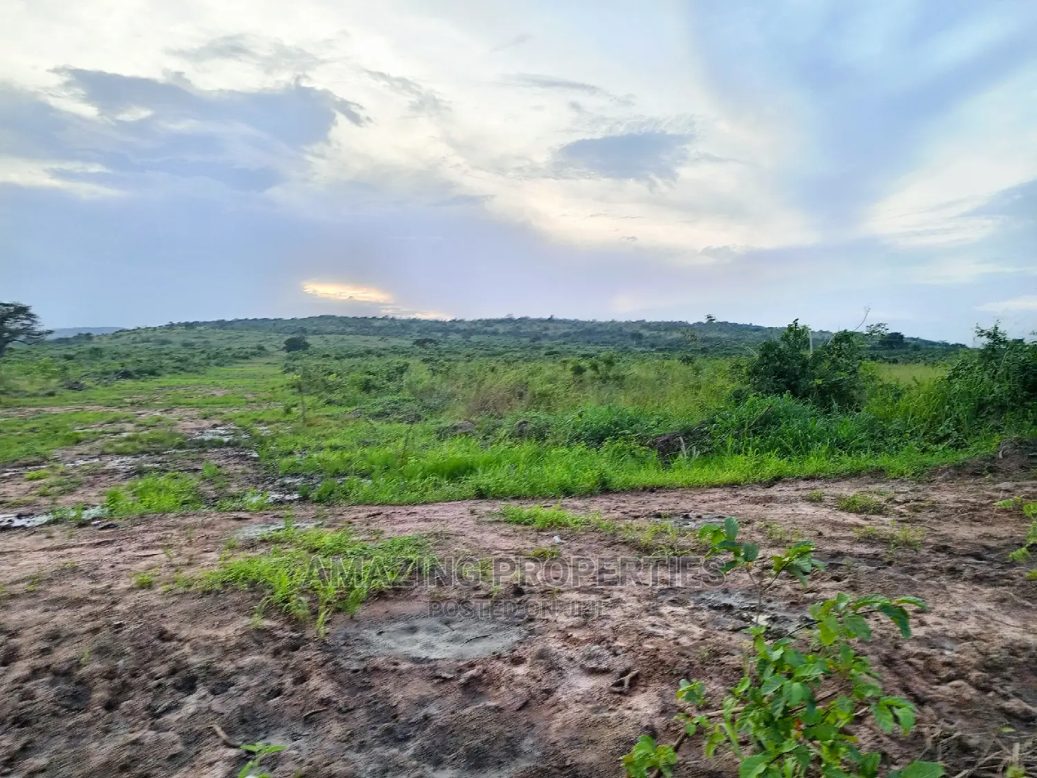 1700 Acres of Main Roadside Land for Sale at Dodowa