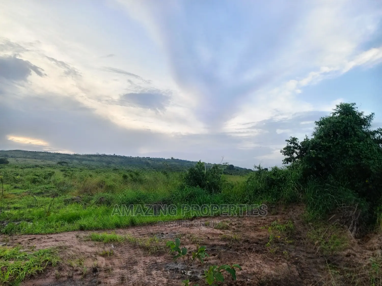 1700 Acres of Main Roadside Land for Sale at Dodowa