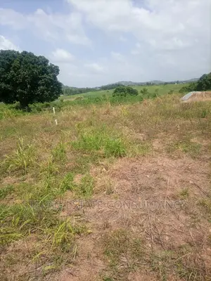 A Real Estate Land for Sale at Kasoa Adawukwa