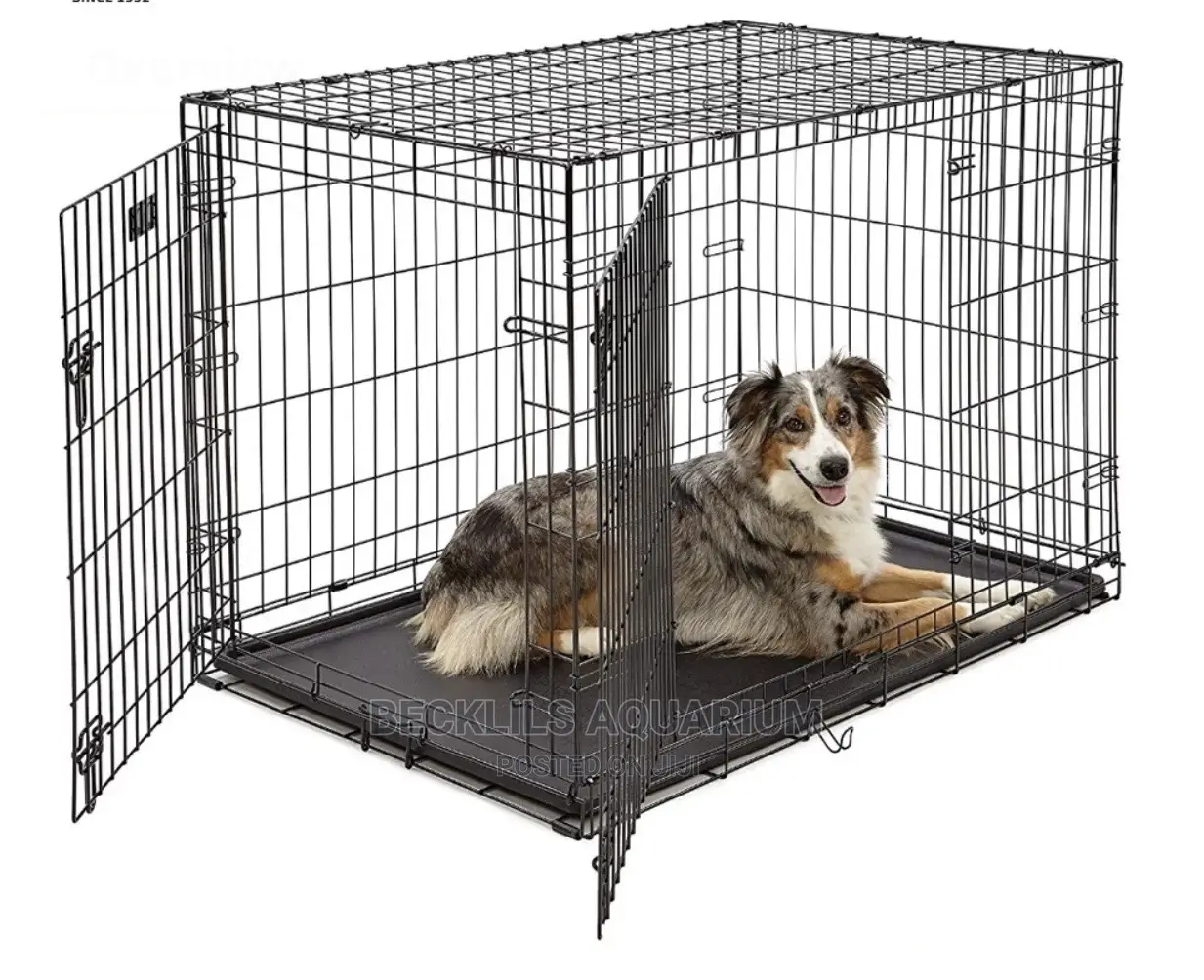 Large Quality Metallic Cage