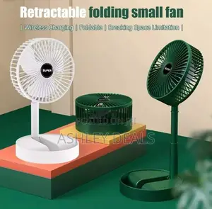 Folding Fan